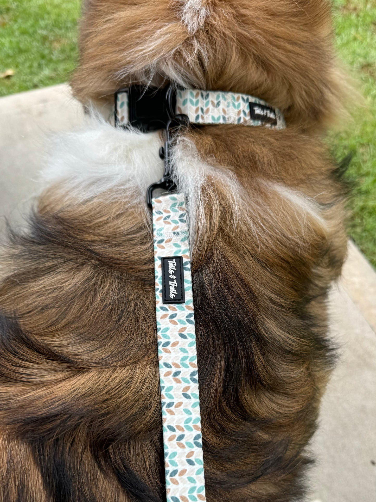 Blooming Trail Leash