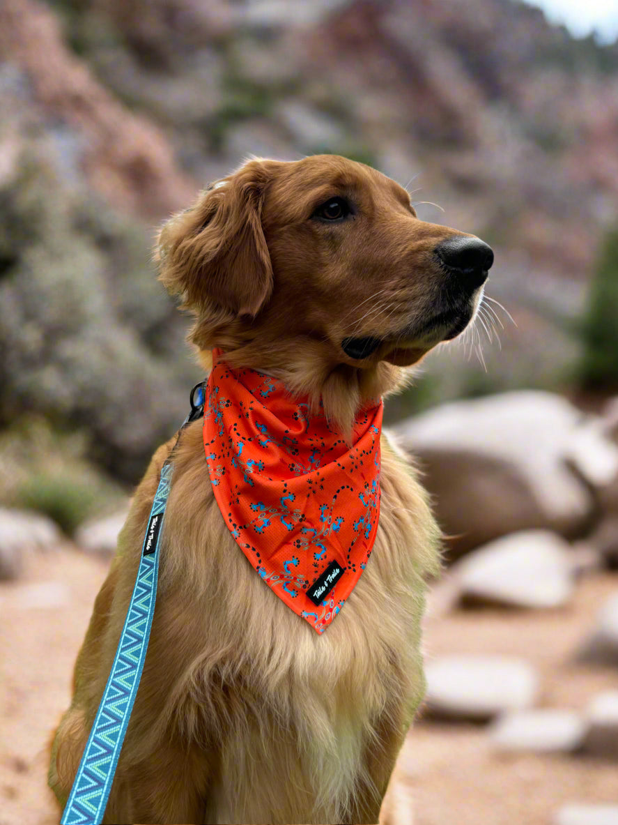 Reptile Cooling Bandana