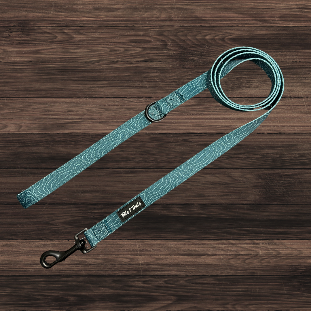 Evergreen Trail Leash