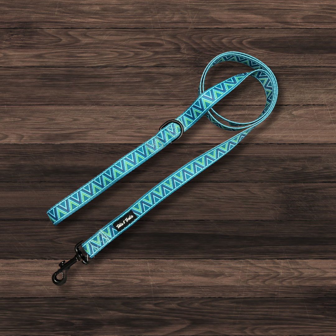 Dusk Aztec Leash