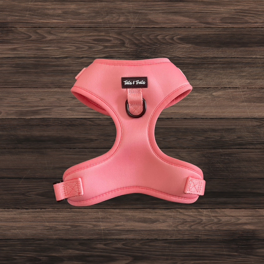 Salmon Pink Trail Harness