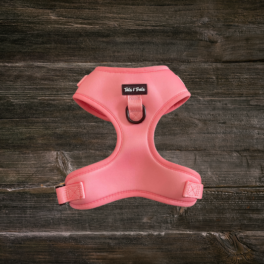 Salmon Pink Trail Harness