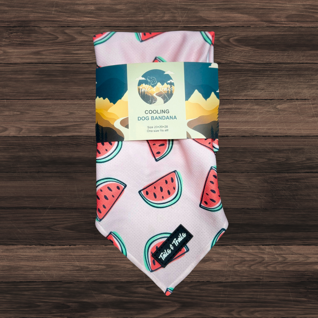 Melon Bandana