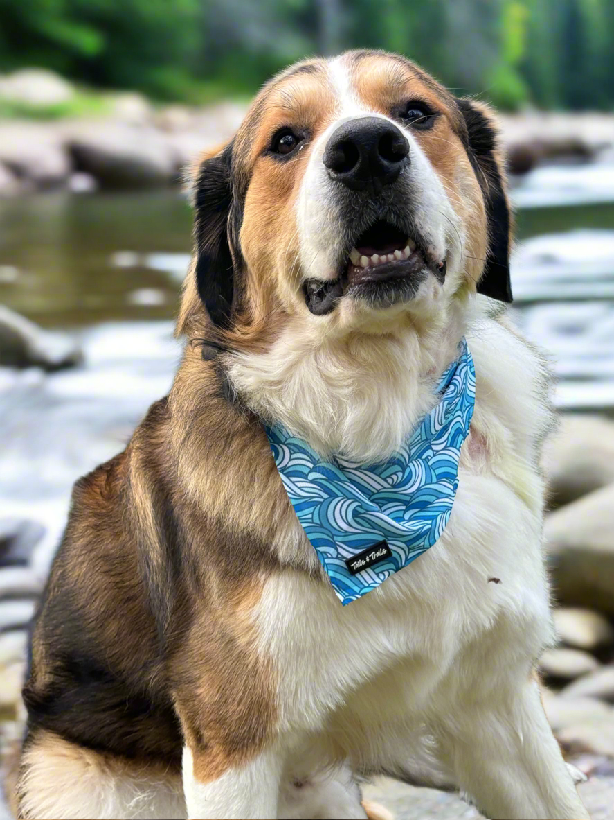 Riptide Cooling Bandana