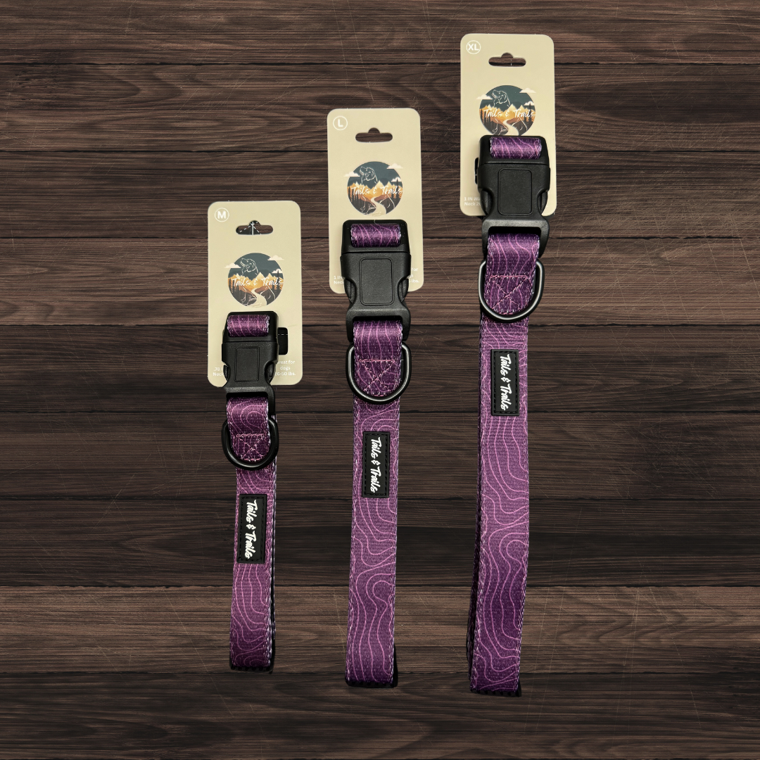 Elderberry Trail Collar