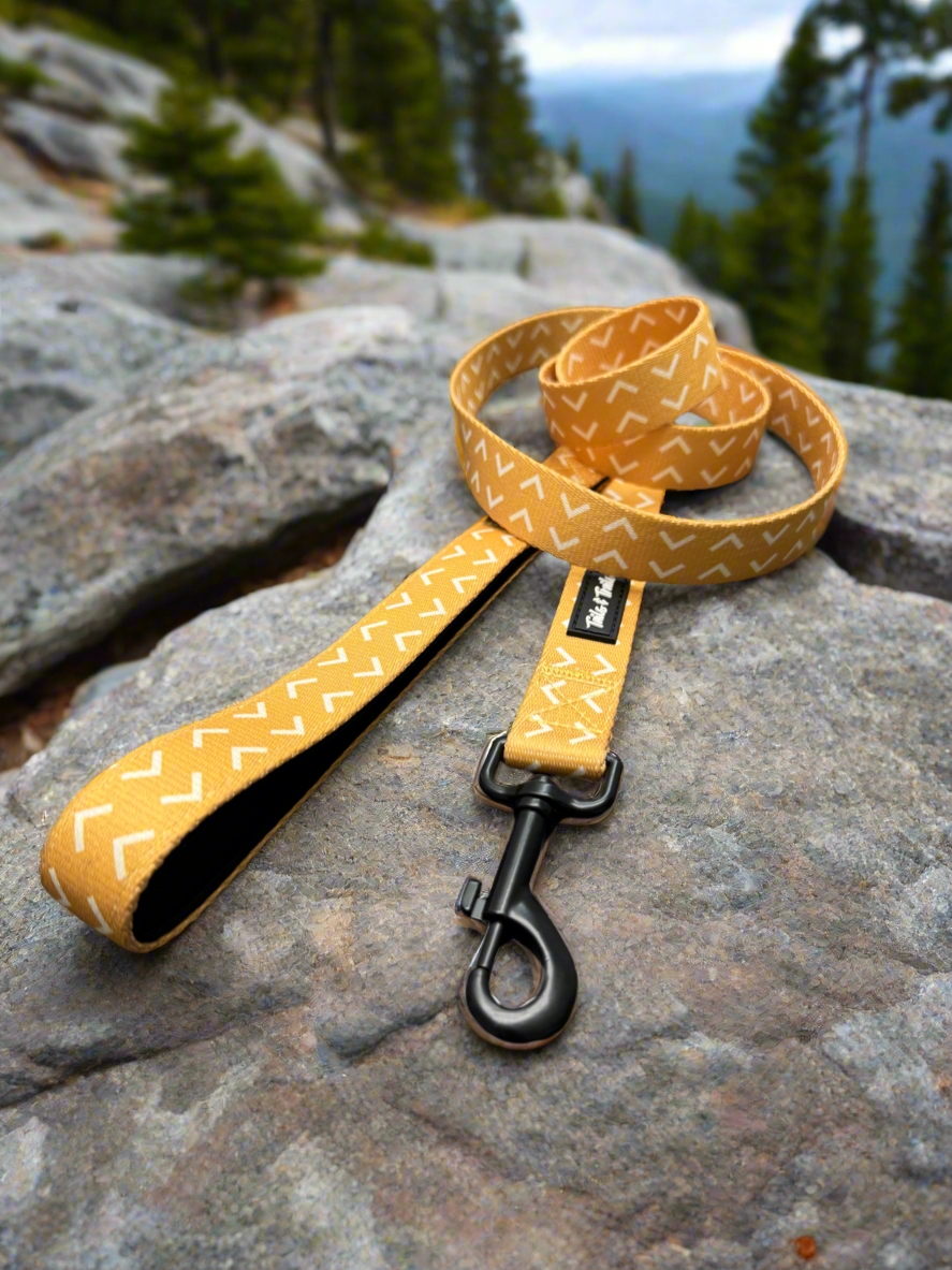 Arrowhead Trail Leash