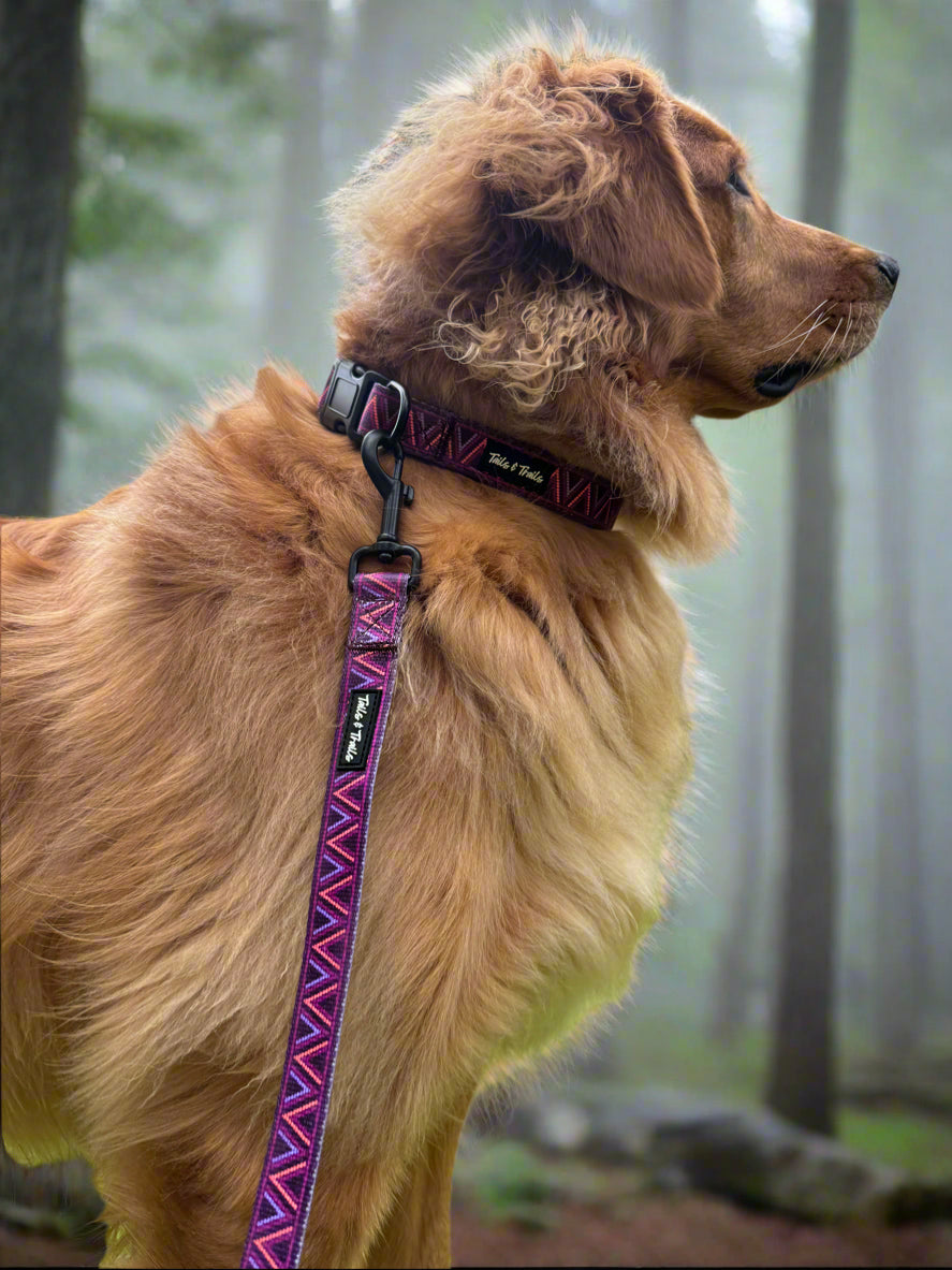 Dawn Aztec Collar