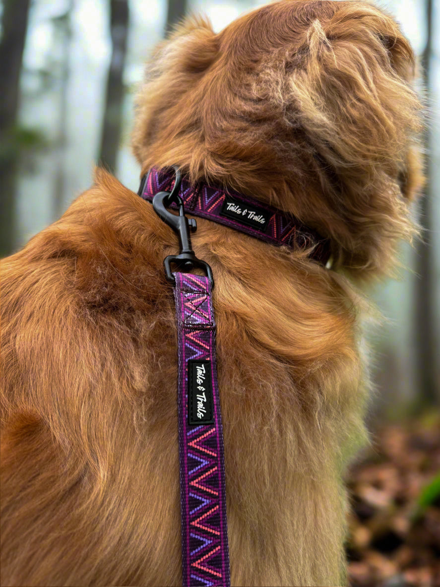 Dawn Aztec Collar