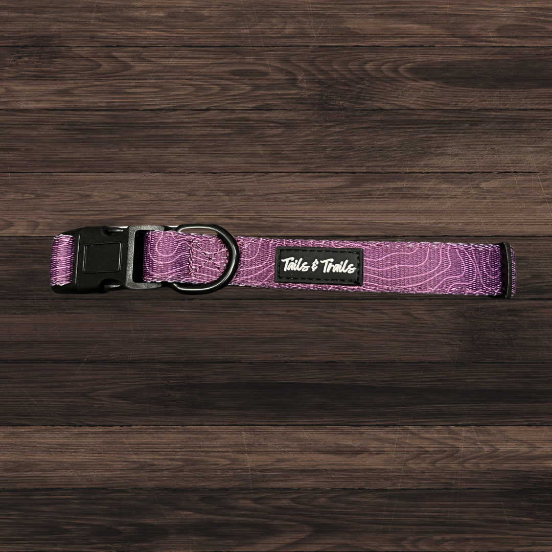 Elderberry Trail Collar