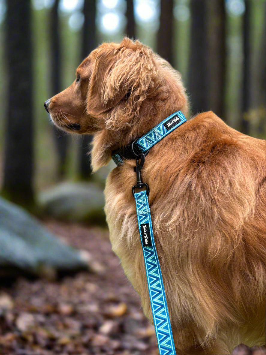 Dusk Aztec Collar