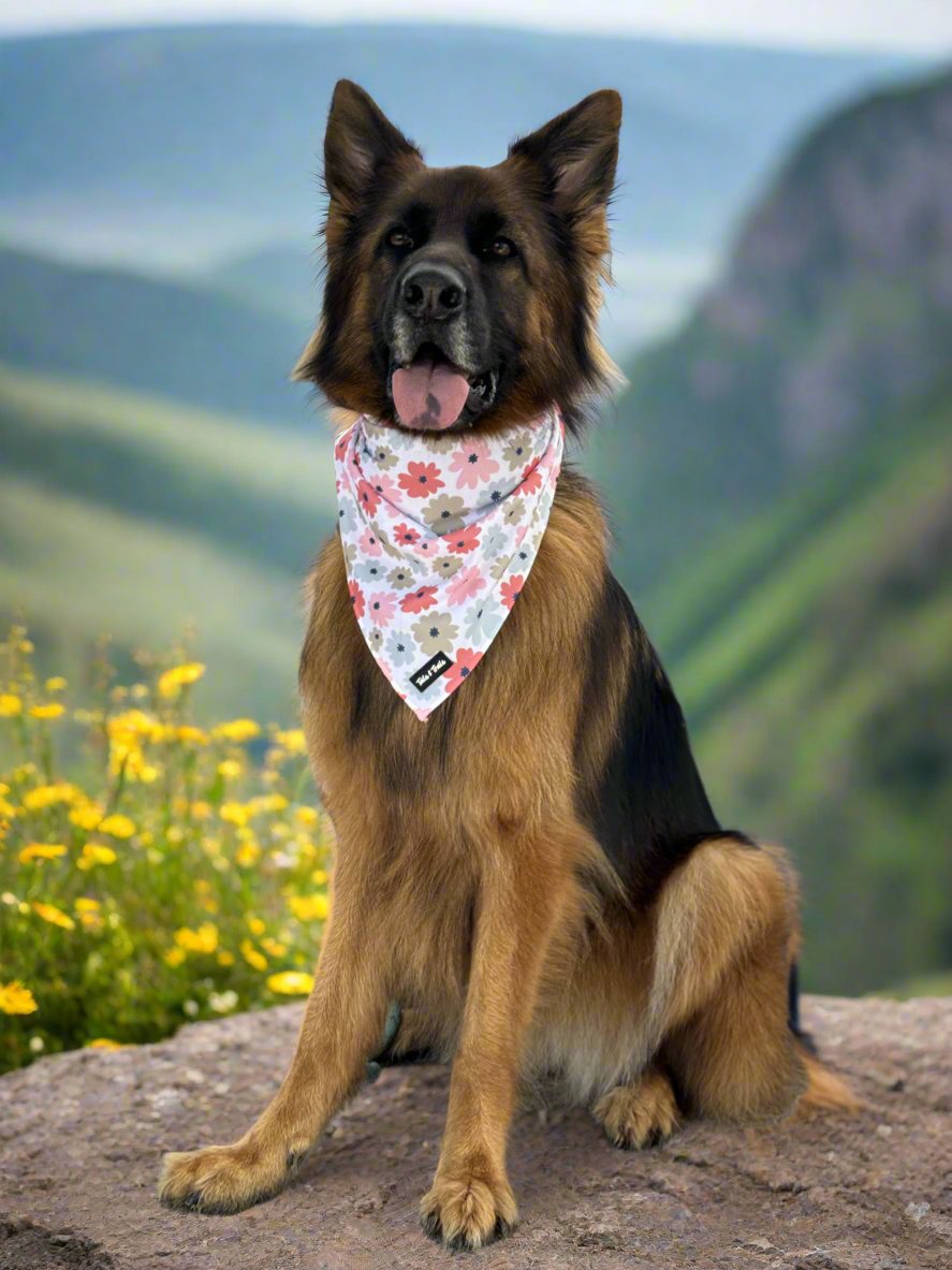 Floral Bandana