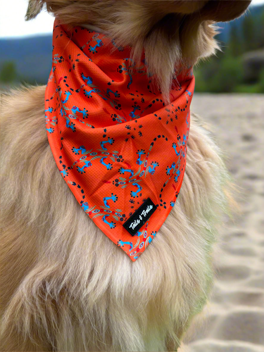 Reptile Cooling Bandana