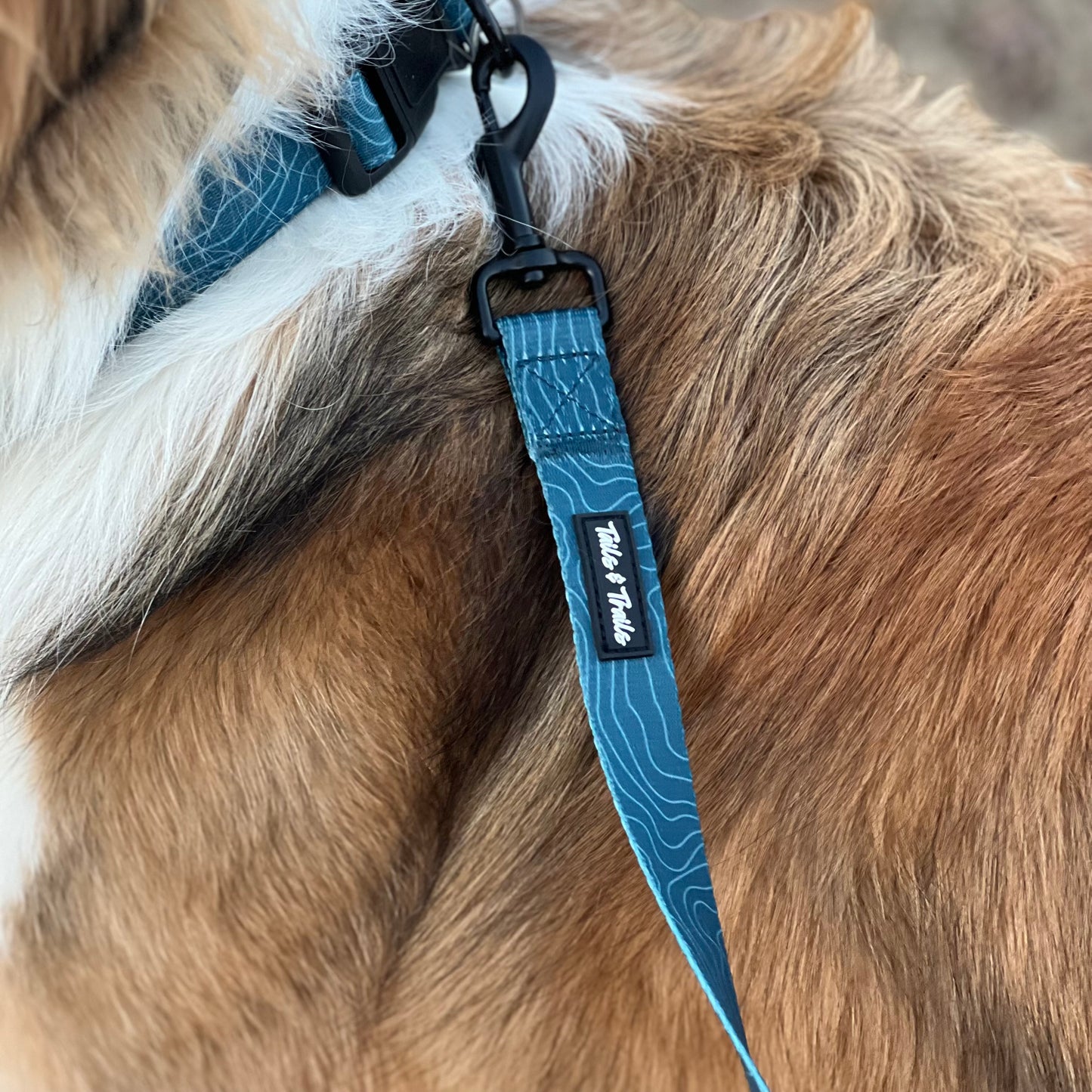 Evergreen Trail Leash