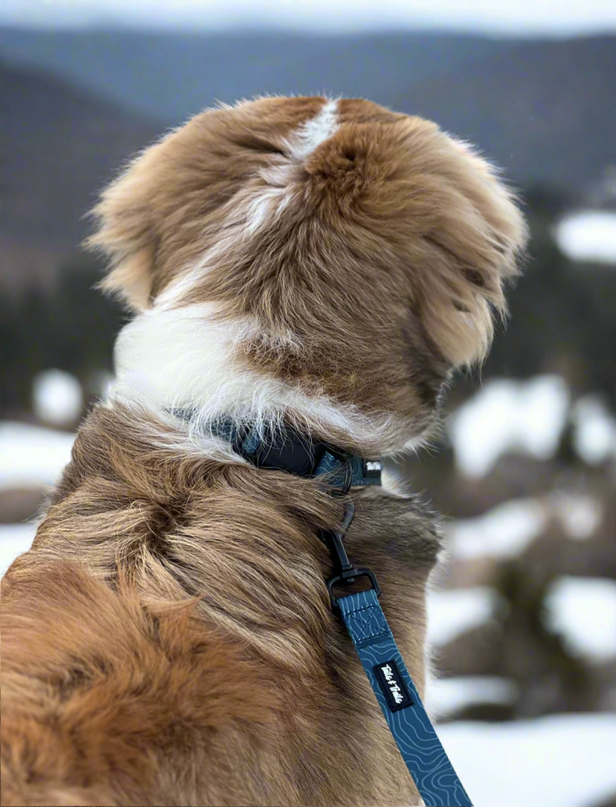 Evergreen Trail Collar