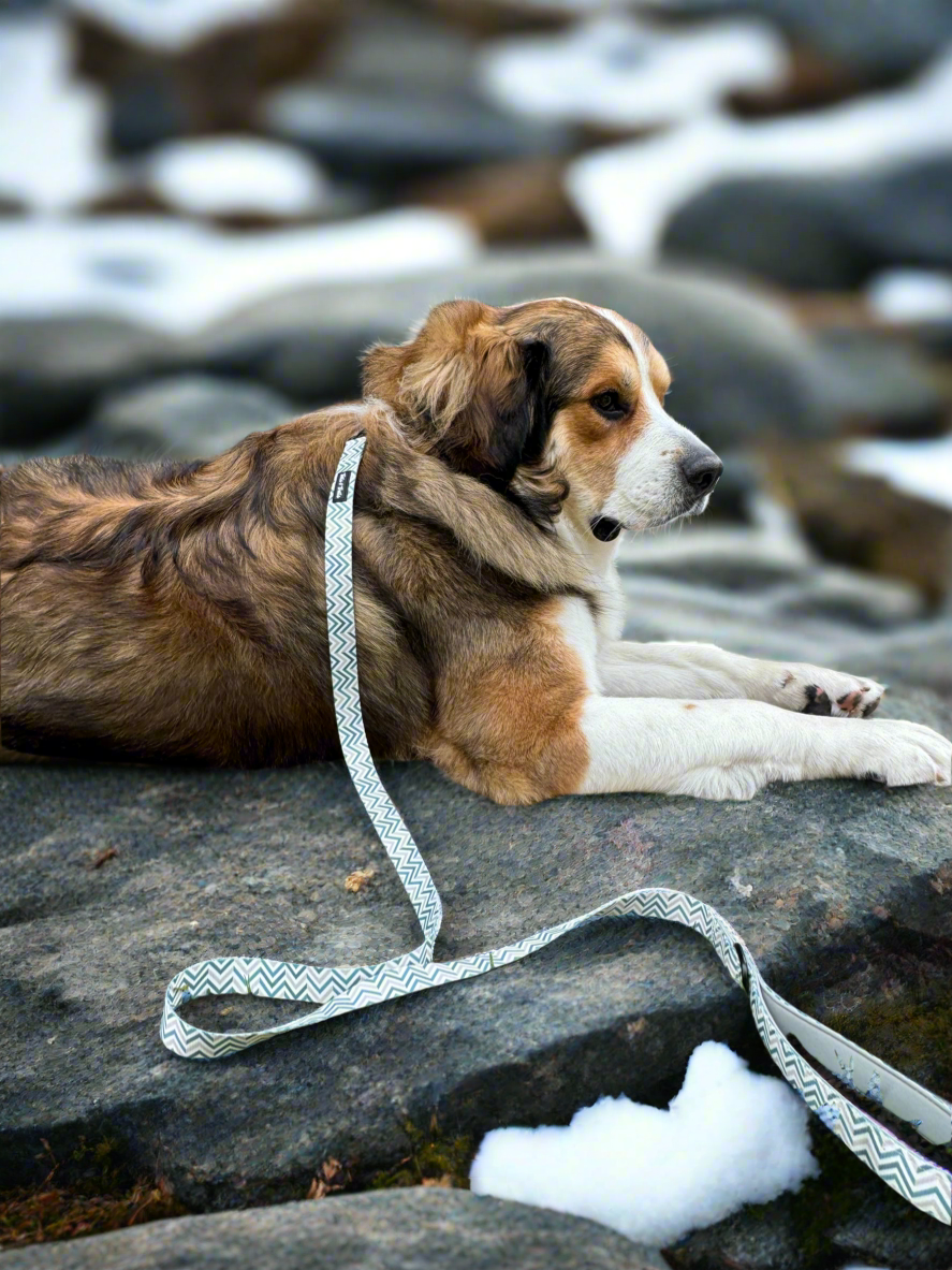 Mountain Ridge Leash