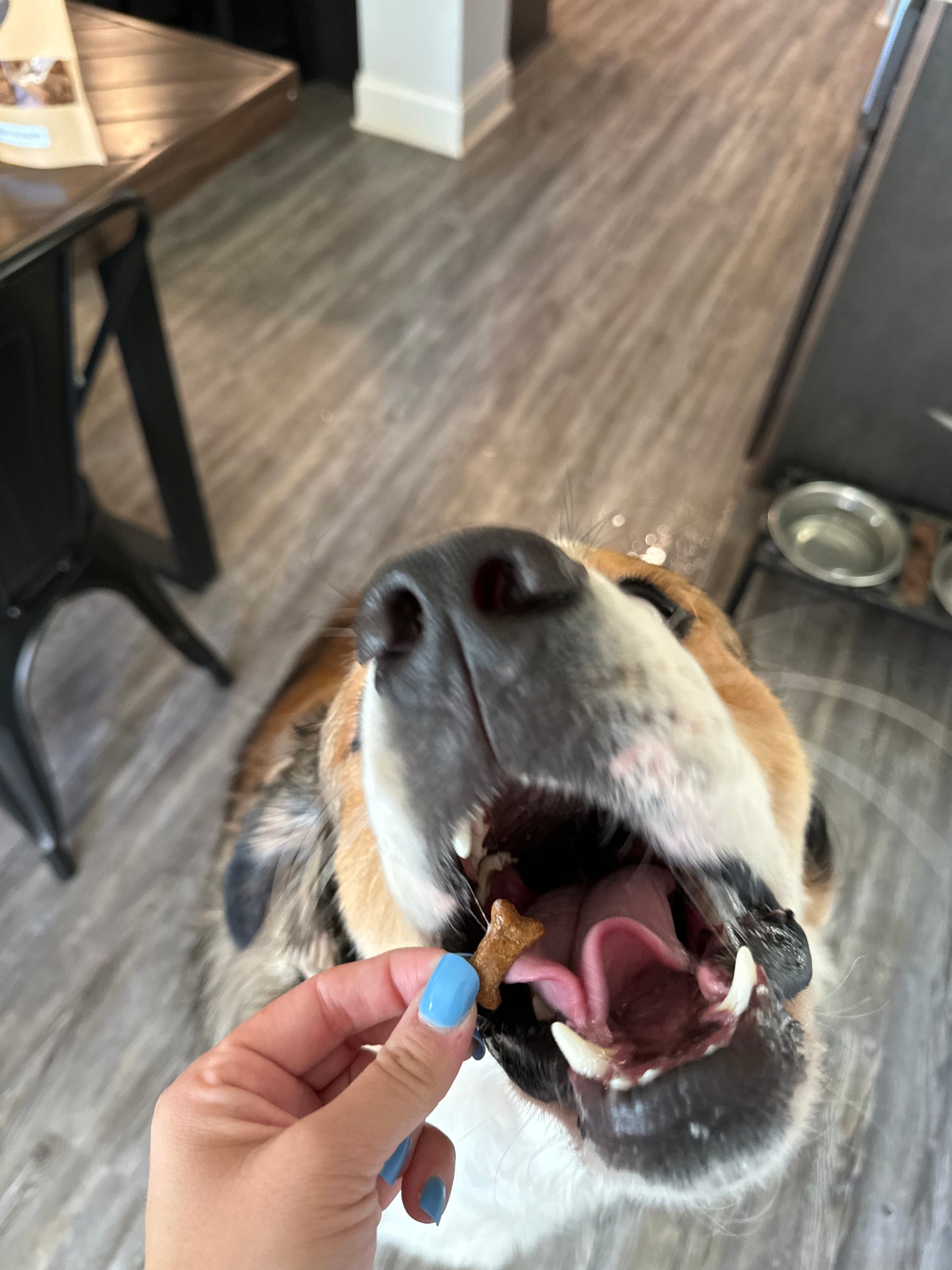 LOADED SWEET POTATO TINY BONES