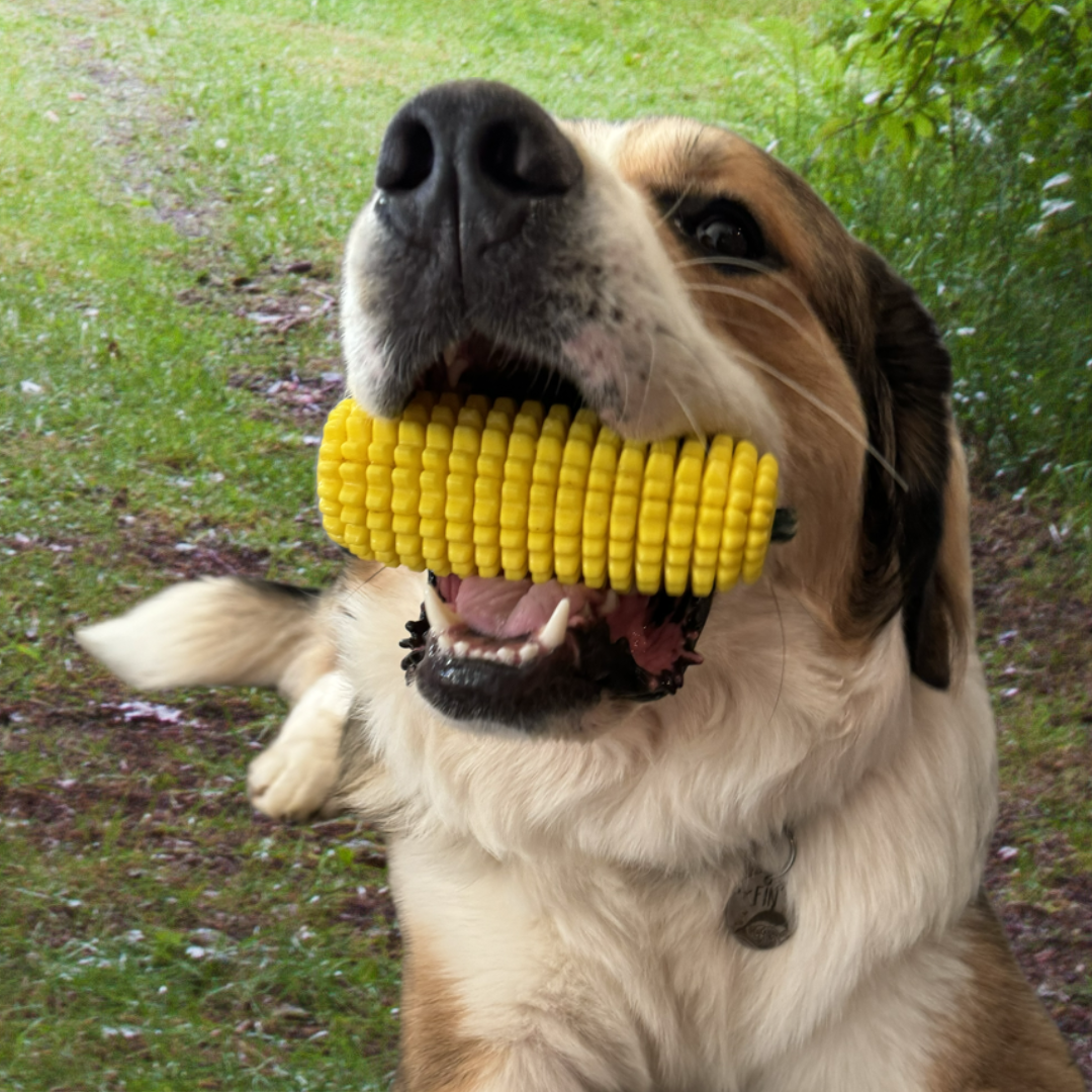 Dog Corn Chew Toy